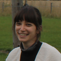 Read more about the article Lirit Yaffe-Herbst, PhD Student